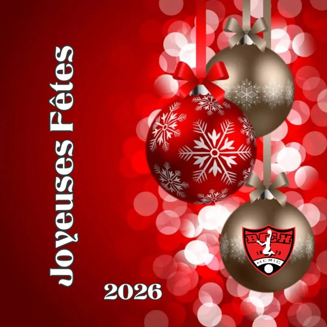 Joyeuses fêtes de fin d'année 2025